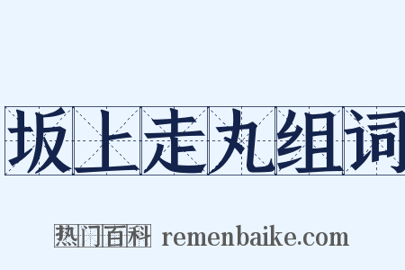 坂上走丸组词是什么意思的图片